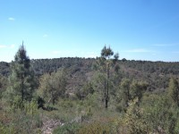 /album/montarias/dsc02221-jpg/