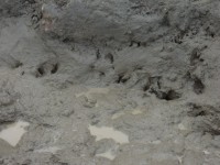 /album/montarias/dsc02122-jpg/