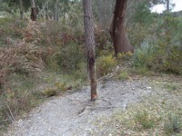 /album/montarias/dsc02123-jpg2/