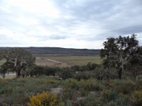 /album/montarias/dsc02128-jpg1/