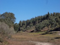 /album/montarias/dsc02144-jpg1/