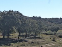 /album/montarias/dsc02147-jpg1/