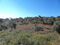 /album/montarias/dsc02150-jpg1/