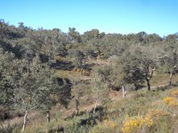 /album/montarias/dsc02151-jpg/