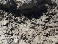 /album/montarias/dsc02169-jpg1/