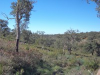 /album/montarias/dsc02173-jpg1/