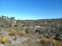 /album/montarias/dsc02190-jpg2/