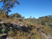 /album/montarias/dsc02191-jpg/