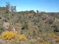 /album/montarias/dsc02192-jpg2/