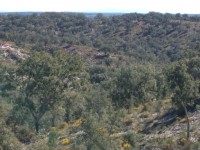 /album/montarias/dsc02194-jpg1/