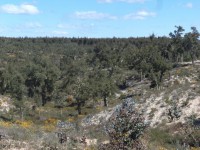 /album/montarias/dsc02217-jpg1/