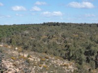 /album/montarias/dsc02218-jpg/