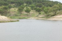 /album/galeria-de-fotos-esperas-aos-patos/mg-1289-jpg/