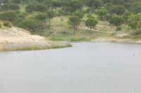 /album/galeria-de-fotos-esperas-aos-patos/mg-1291-jpg/