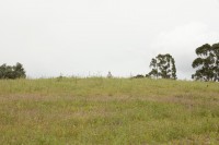 /album/galeria-de-fotos-largadas-de-caca/mg-1361-jpg/
