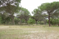 /album/galeria-de-fotos-campo-de-treino/mg-1070-jpg/