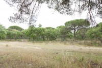 /album/galeria-de-fotos-campo-de-treino/mg-1074-jpg/