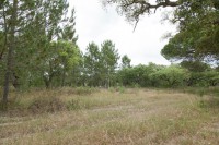 /album/galeria-de-fotos-campo-de-treino/mg-1077-jpg/