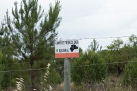 /album/galeria-de-fotos-campo-de-treino/mg-1132-jpg/