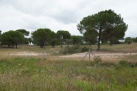 /album/galeria-de-fotos-campo-de-treino/mg-1141-jpg/