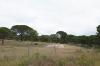 /album/galeria-de-fotos-campo-de-treino/mg-1145-jpg/