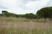 /album/galeria-de-fotos-campo-de-treino/mg-1149-jpg/